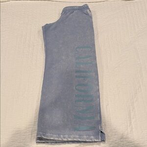 Wild Fable Wide Leg Blue Joggers with California Graphic